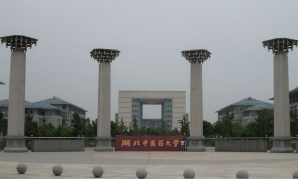 湖北中醫藥大學(xué)儀器設備采購